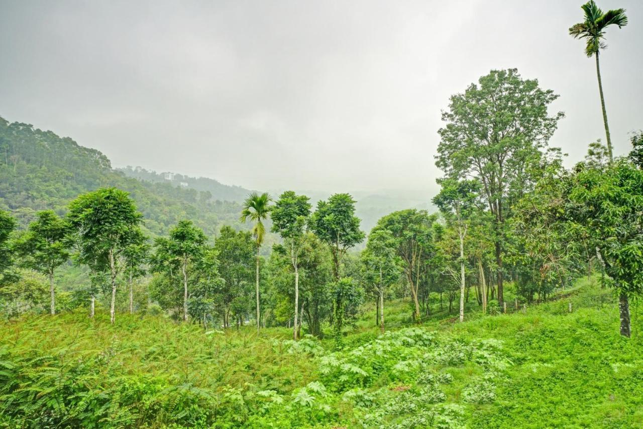 Oyo Flagship 81260 Star Lights Hotel Munnar Exterior photo